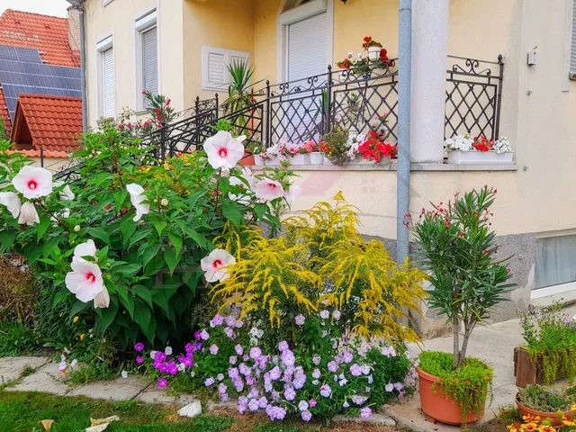 Eladó ház Debrecen, Szabadságtelep 125 nm