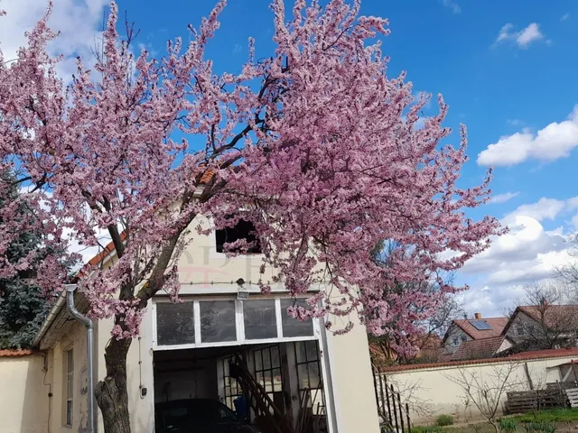 Eladó ház Debrecen, Szabadságtelep 125 nm