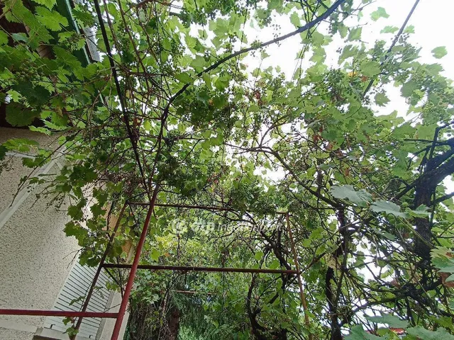 Eladó ház Jászfényszaru 120 nm