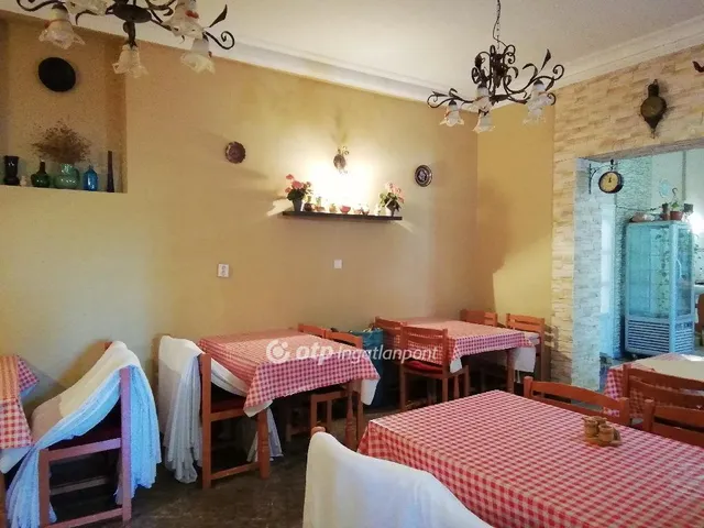 Eladó kereskedelmi és ipari ingatlan Újszász 209 nm
