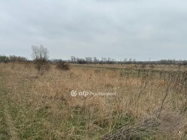 Eladó telek Kisköre 667 nm