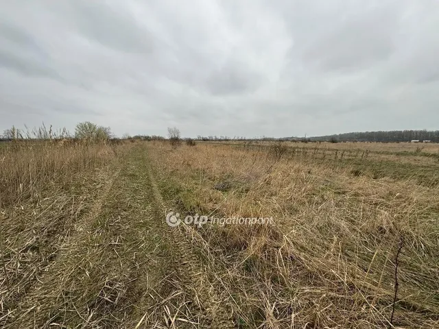 Eladó telek Kisköre 667 nm