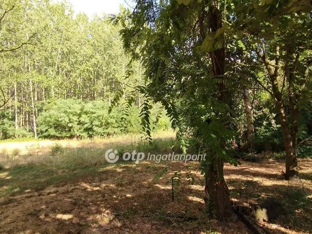 Eladó mezőgazdasági ingatlan Jászberény 74 nm
