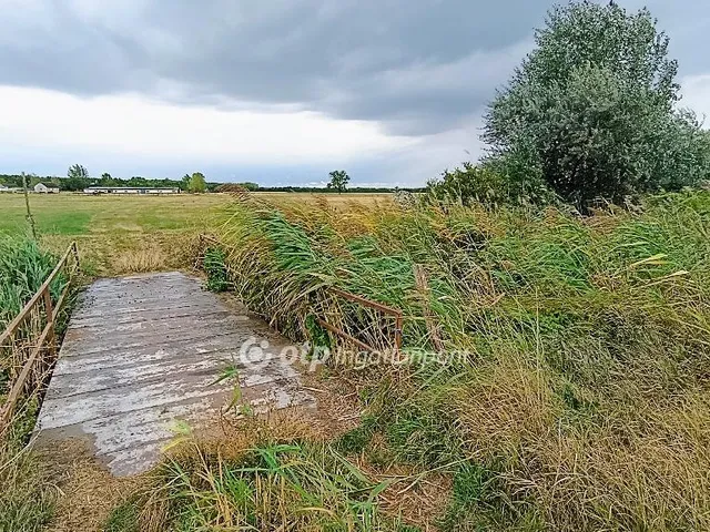 Eladó mezőgazdasági ingatlan Tóalmás 1100000 nm