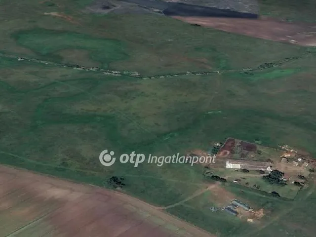 Eladó mezőgazdasági ingatlan Tóalmás 1100000 nm