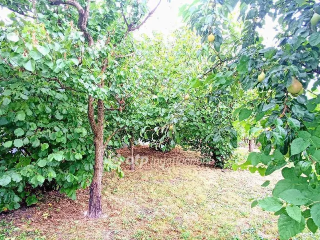 Eladó ház Jászárokszállás 196 nm