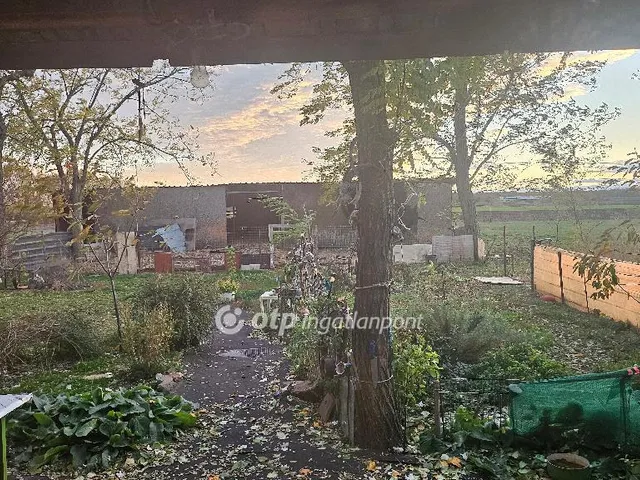 Eladó mezőgazdasági ingatlan Jászjákóhalma 49 nm