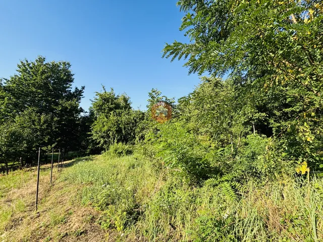 Eladó telek Pécs, Újhegy, Róka utca 1192 nm