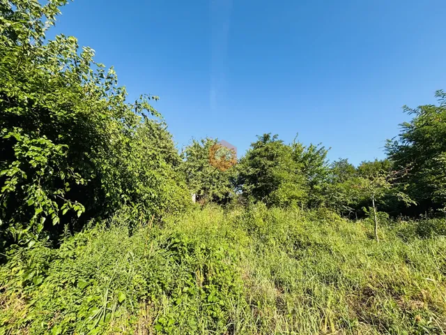 Eladó telek Pécs, Újhegy, Róka utca 1192 nm