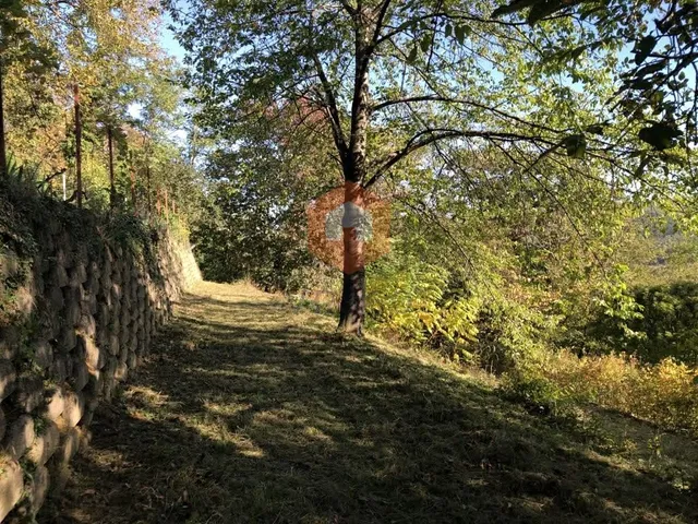 Eladó telek Orfű 546 nm