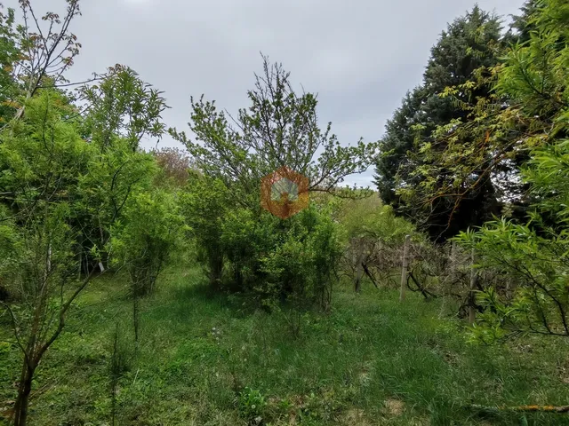 Eladó ház Pécs, Szabolcsfalu 42 nm