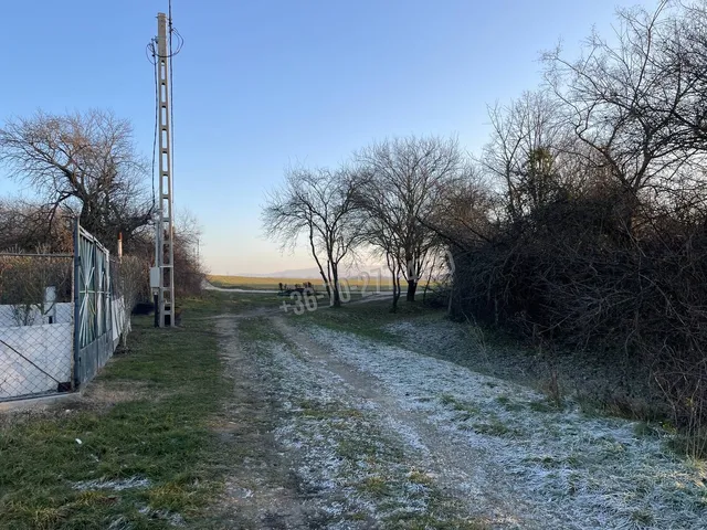 Eladó mezőgazdasági ingatlan Oroszlány 1 nm