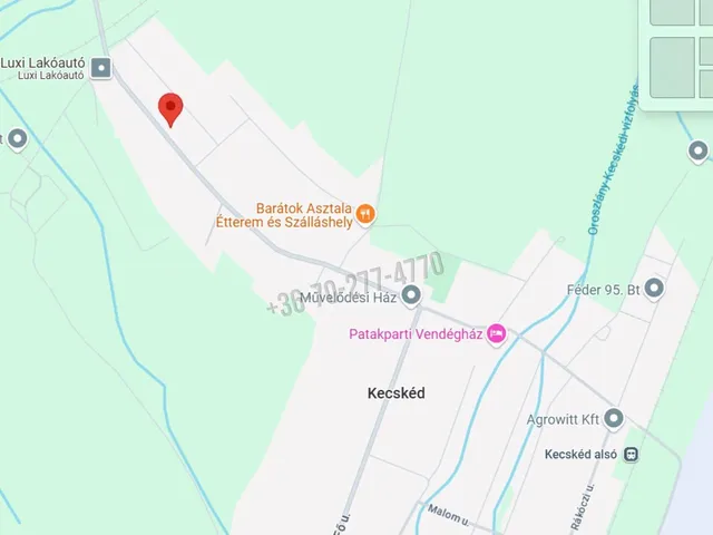Kiadó ház Kecskéd 311 nm
