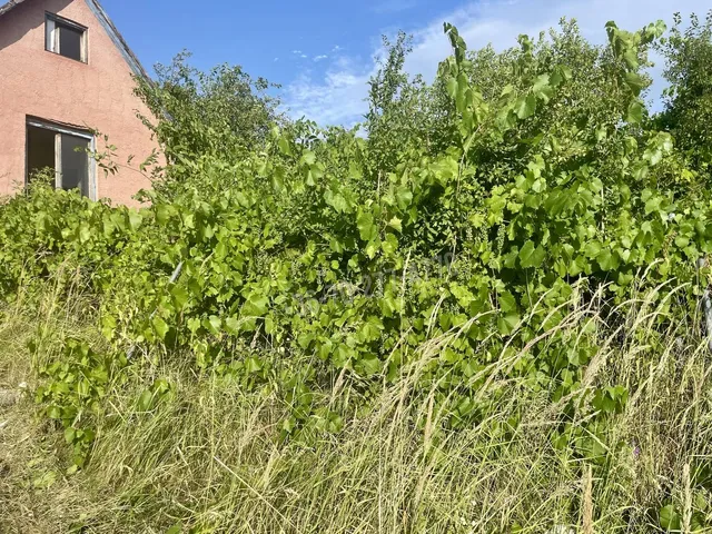 Eladó üdülő és hétvégi ház Oroszlány, Borbálatelep 20 nm