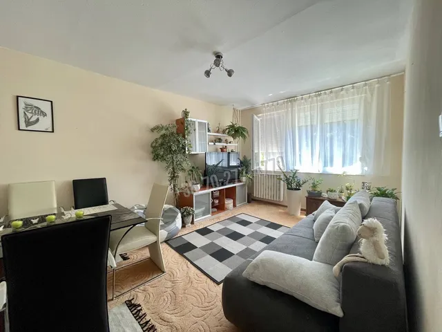 Eladó lakás Oroszlány, Óváros 49 nm