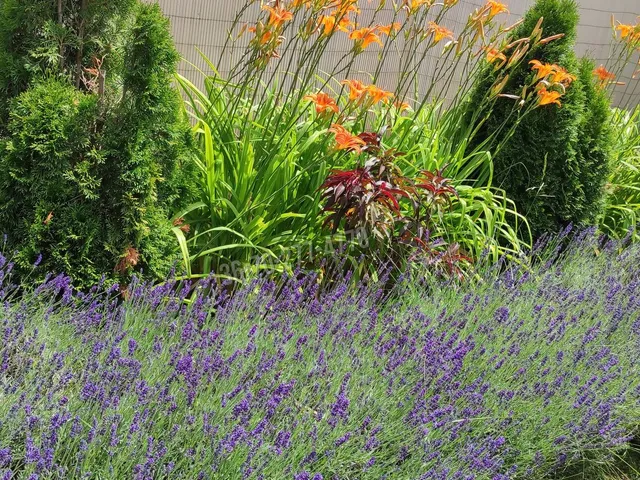 Eladó üdülő és hétvégi ház Oroszlány, Malom utca 20 nm