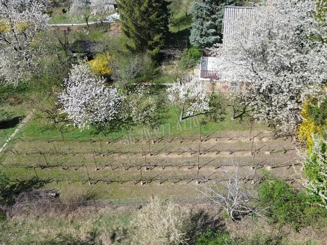 Eladó nyaraló Oroszlány, Somlói dülő 40 nm