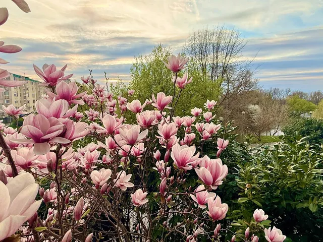 Eladó lakás Oroszlány 46 nm