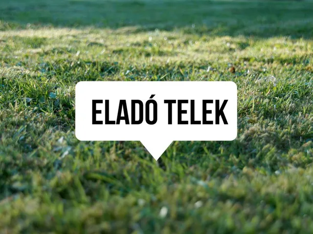 Eladó telek Tokaj 6476 nm