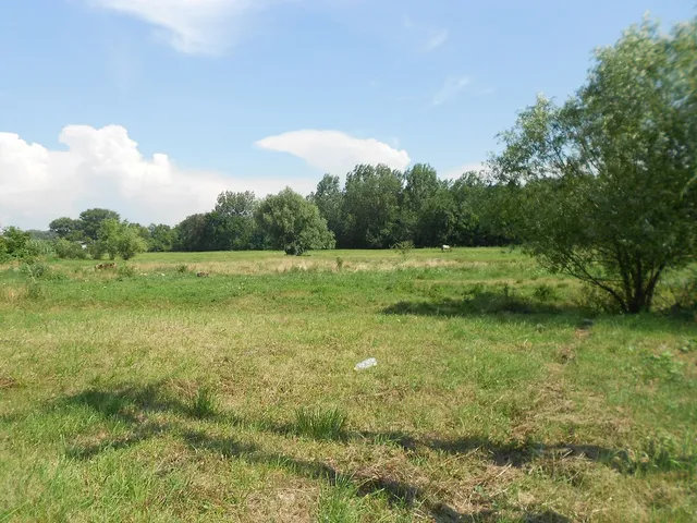 Eladó telek Tokaj 6476 nm