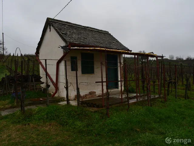 Eladó mezőgazdasági ingatlan Villány 30 nm