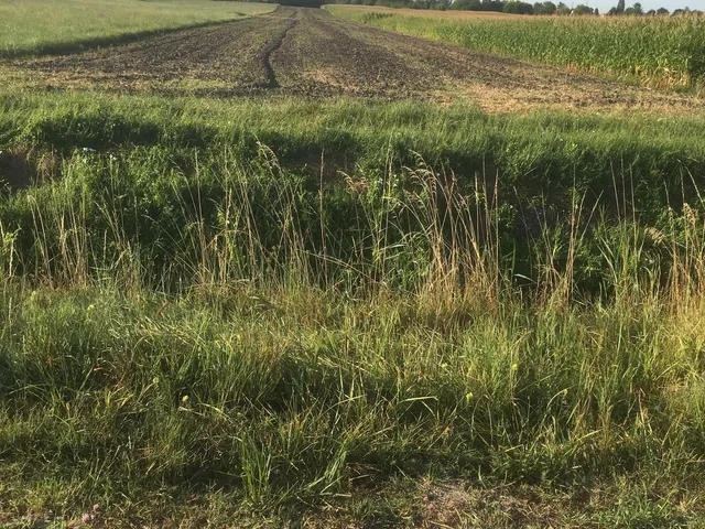 Eladó telek Győr, Szentivánárok mellett 878 nm