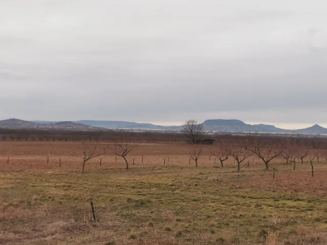 Eladó mezőgazdasági ingatlan Ordacsehi 8077 nm