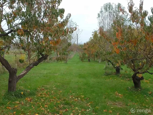 Eladó telek Fonyód, fő u.76 3000 nm