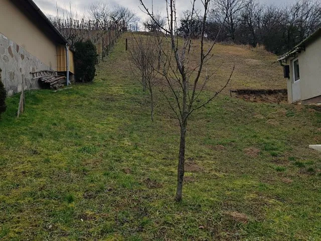 Eladó mezőgazdasági ingatlan Zalaegerszeg, Jánkahegy 800 nm