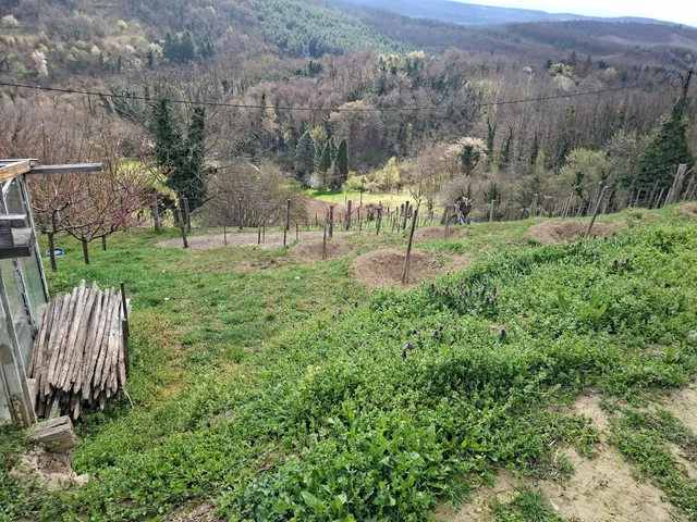 Eladó nyaraló Zalaegerszeg, Csácsihegy 80 nm
