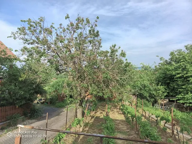 Eladó telek Zalaegerszeg, Ebergény, 8900 1100 nm