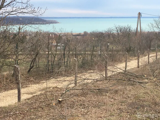 Eladó telek Balatonalmádi, Újhegy, Platán u. 26. 1594 nm