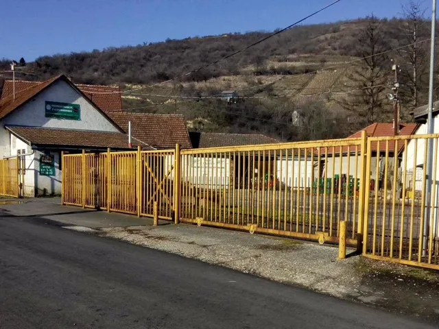 Eladó kereskedelmi és ipari ingatlan Tokaj 307 nm