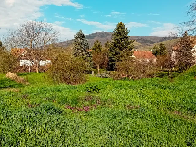 Eladó telek Tokaj 1400 nm