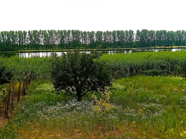 Eladó ház Rakamaz 80 nm