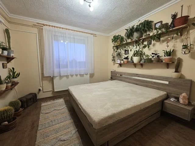 Eladó lakás Tokaj 51 nm