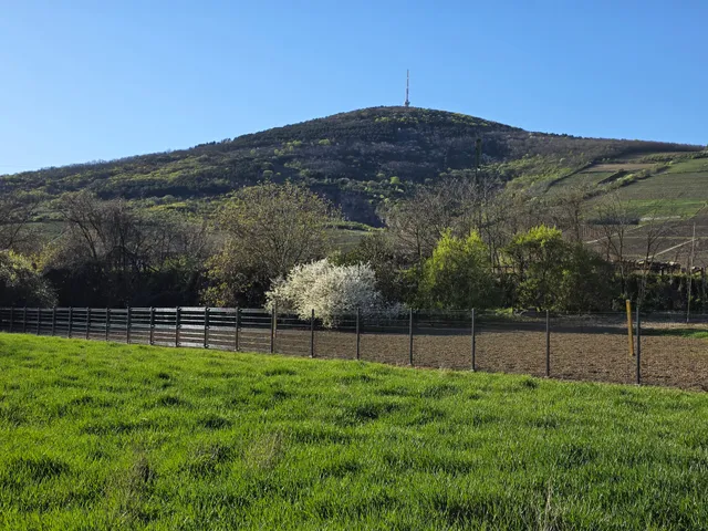 Eladó telek Tokaj 1516 nm