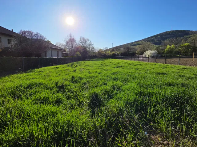 Eladó telek Tokaj 1516 nm