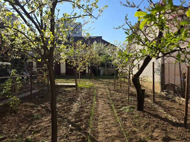 Eladó ház Nyíregyháza 100 nm