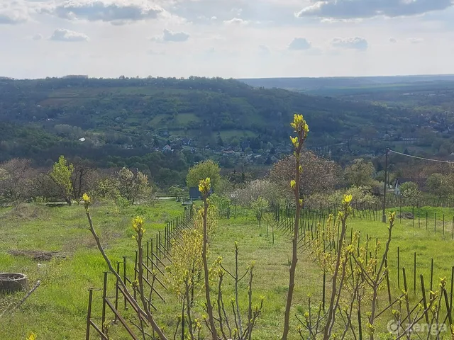 Eladó üdülő és hétvégi ház Tab 55 nm