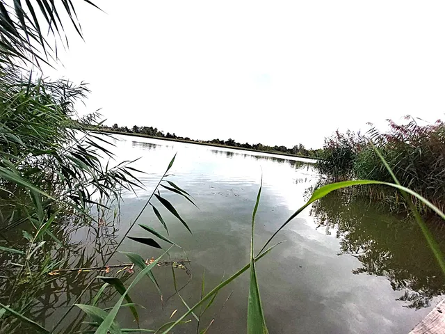 Eladó ház Szigethalom 205 nm