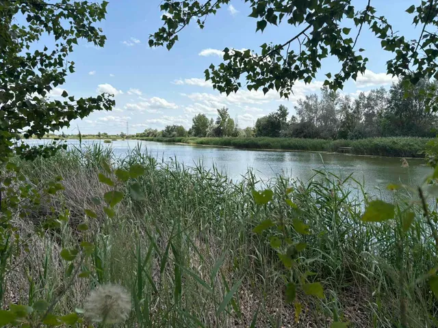 Eladó ház Délegyháza 106 nm