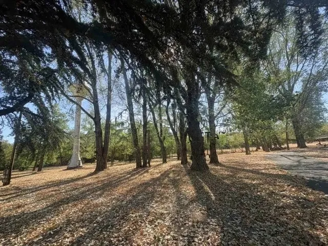 Eladó kereskedelmi és ipari ingatlan Dunavarsány, Völgyi út 7800 nm