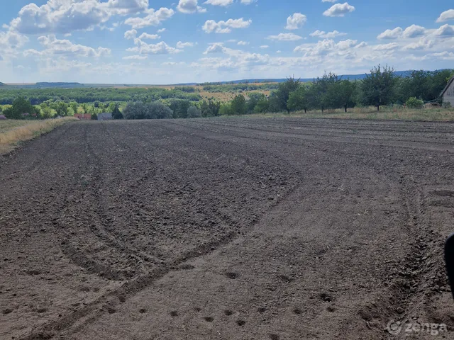 Eladó telek Alcsútdoboz 4200 nm