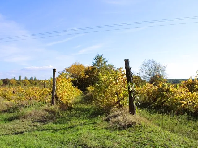 Eladó telek Balatonrendes, Külterület 20513 nm