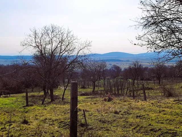 Eladó mezőgazdasági ingatlan Köveskál, Külterület 80 nm