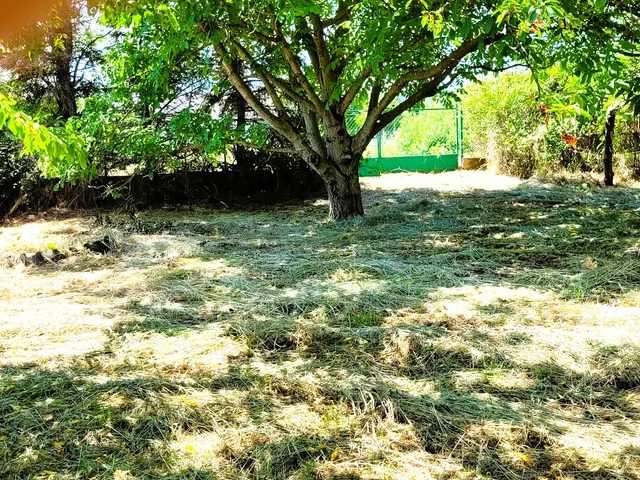 Eladó telek Paloznak 805 nm