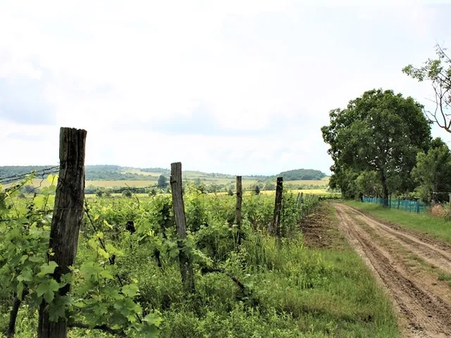 Eladó telek Balatoncsicsó, külterület 2955 nm