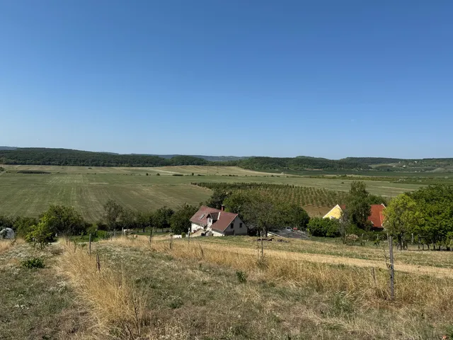 Eladó mezőgazdasági ingatlan Balatonszőlős 3292 nm