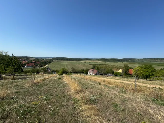 Eladó mezőgazdasági ingatlan Balatonszőlős 3292 nm